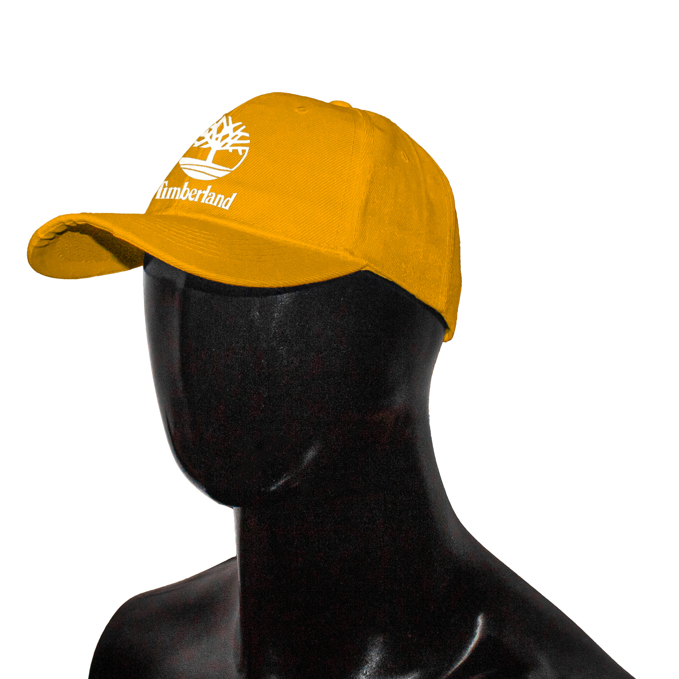 Vanguard Promo 6 Panel Cap